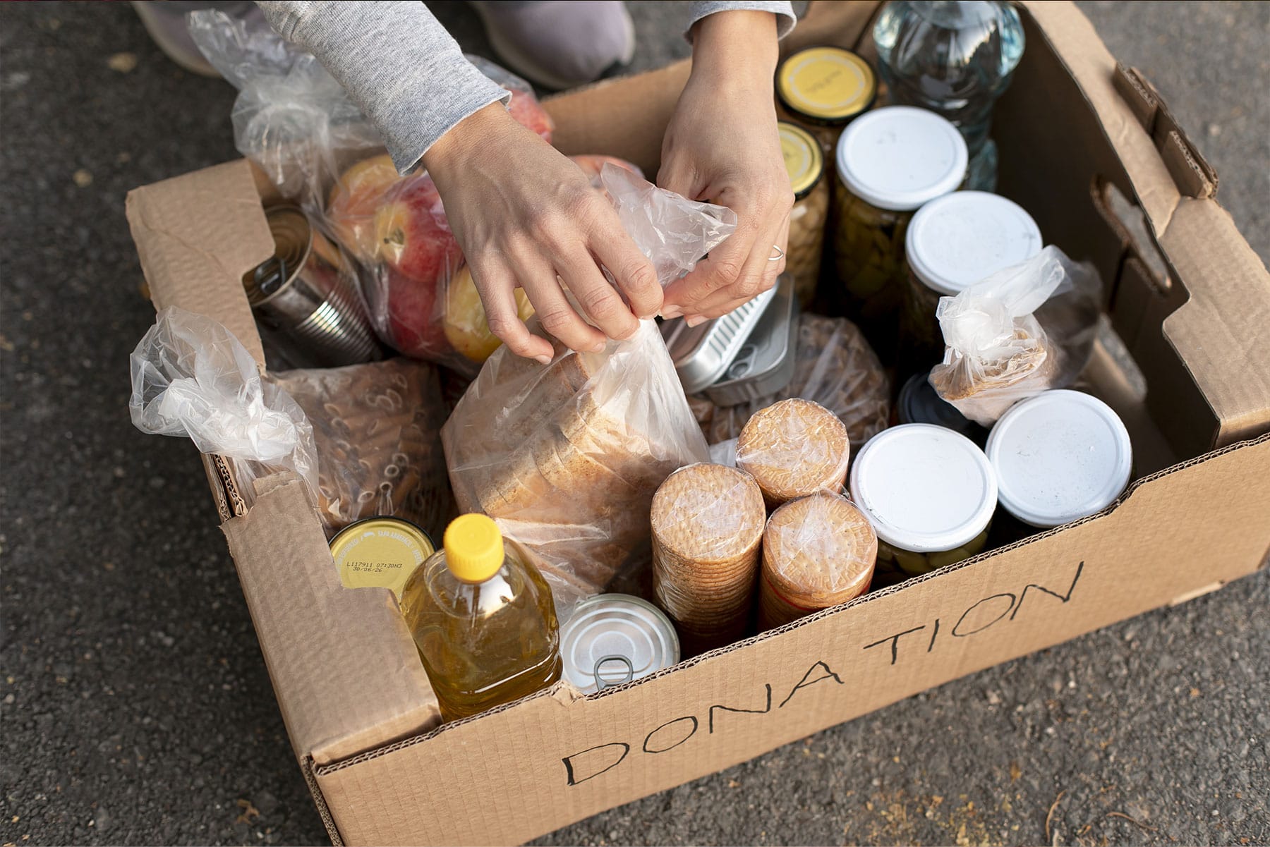 Canned Food Drive
